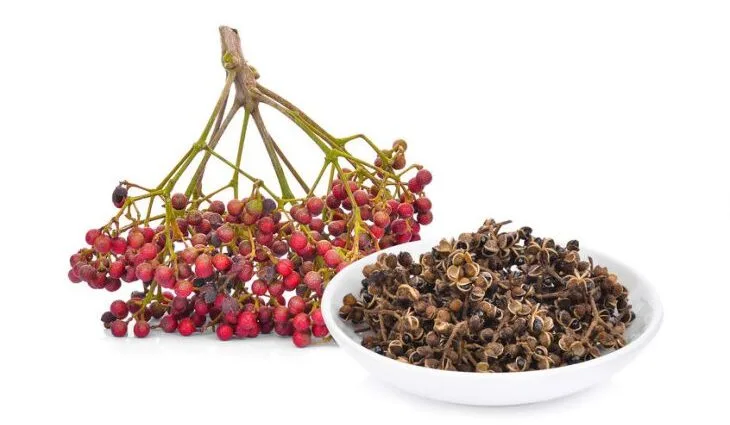 Sichuan peppercorn (Huajiao) – the soul of authentic numbing-spicy 'Mala'