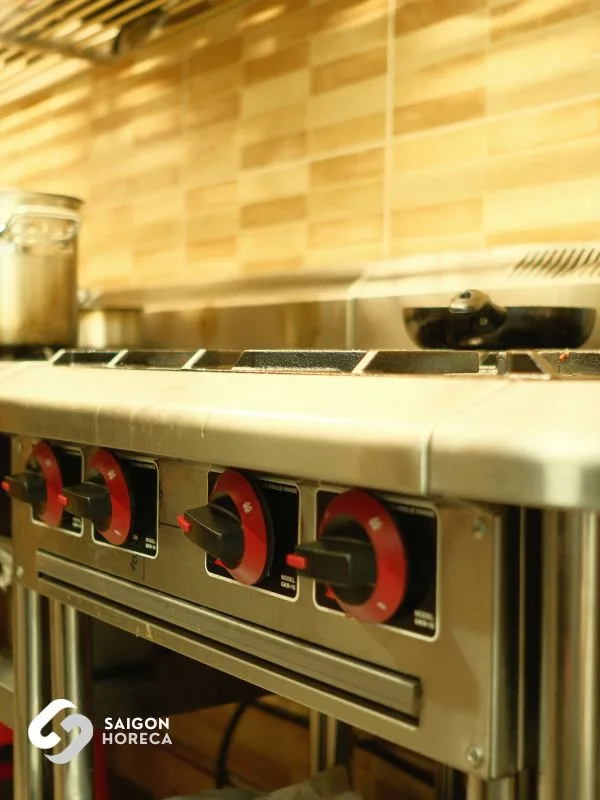 Premium Heavy-Duty Stainless Steel Commercial Gas Range System